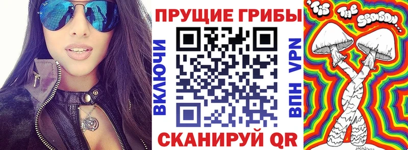 Купить где  Кириши  Псилоцибиновые грибы MAGIC MUSHROOMS 